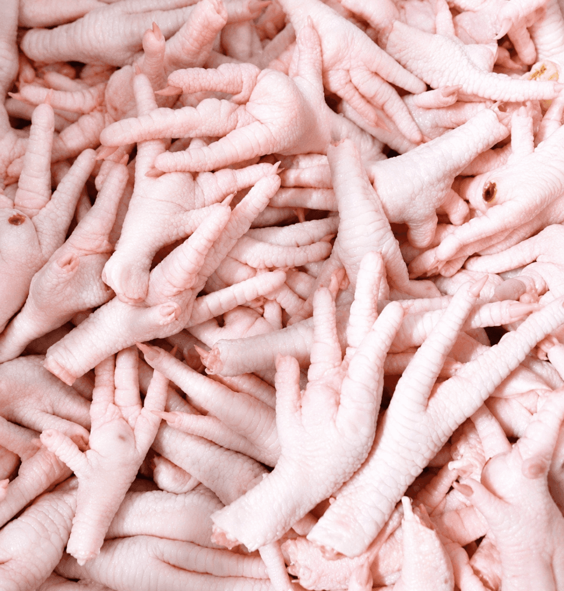CHÂN GÀ NGẮN 鶏足短 SHORT CHICKEN FEET