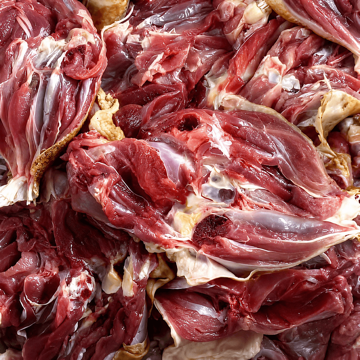 ĐÙI GÀ DAI RÚT XƯƠNG 地鶏もも骨なし BONELESS TOUGH CHICKEN THIGH