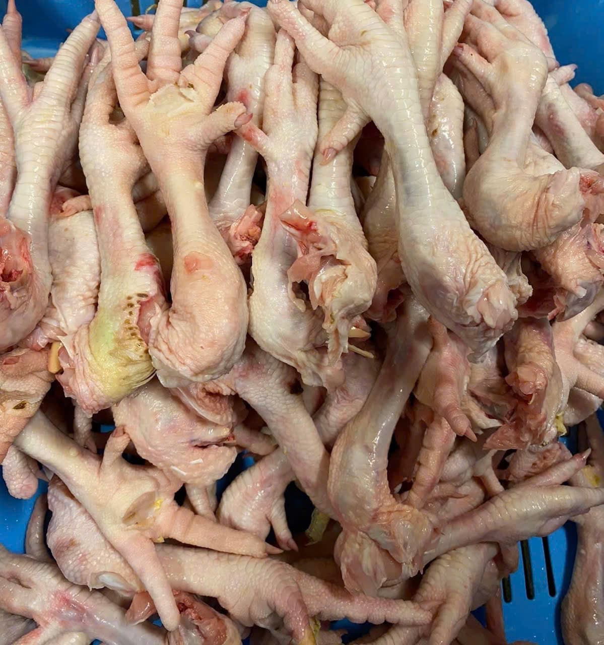 CHÂN GÀ DÀI 鶏足長 LONG CHICKEN FEET