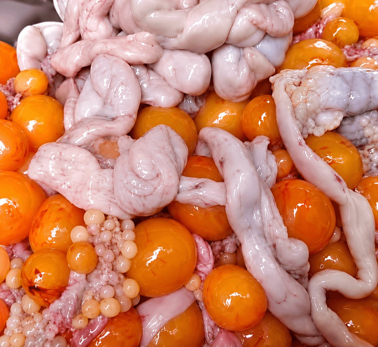 TRÀNG TRỨNG GÀ 鶏卵巣 CHICKEN OVARY