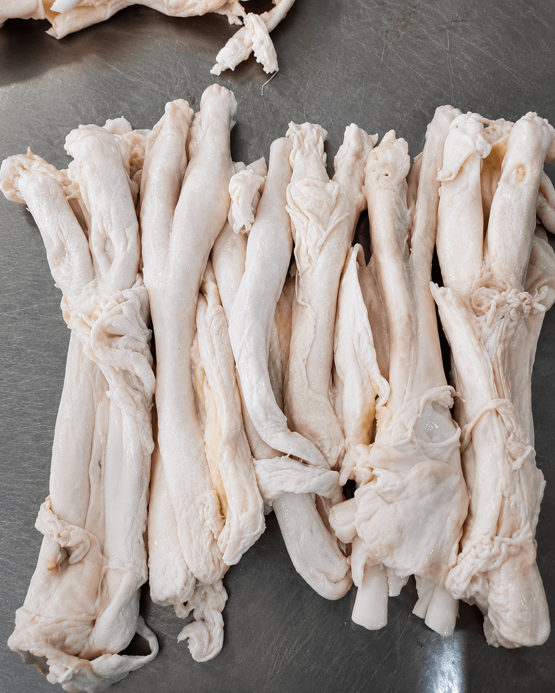 GÂN BÒ TRẮNG 牛スジ白 WHITE BEEF TENDON