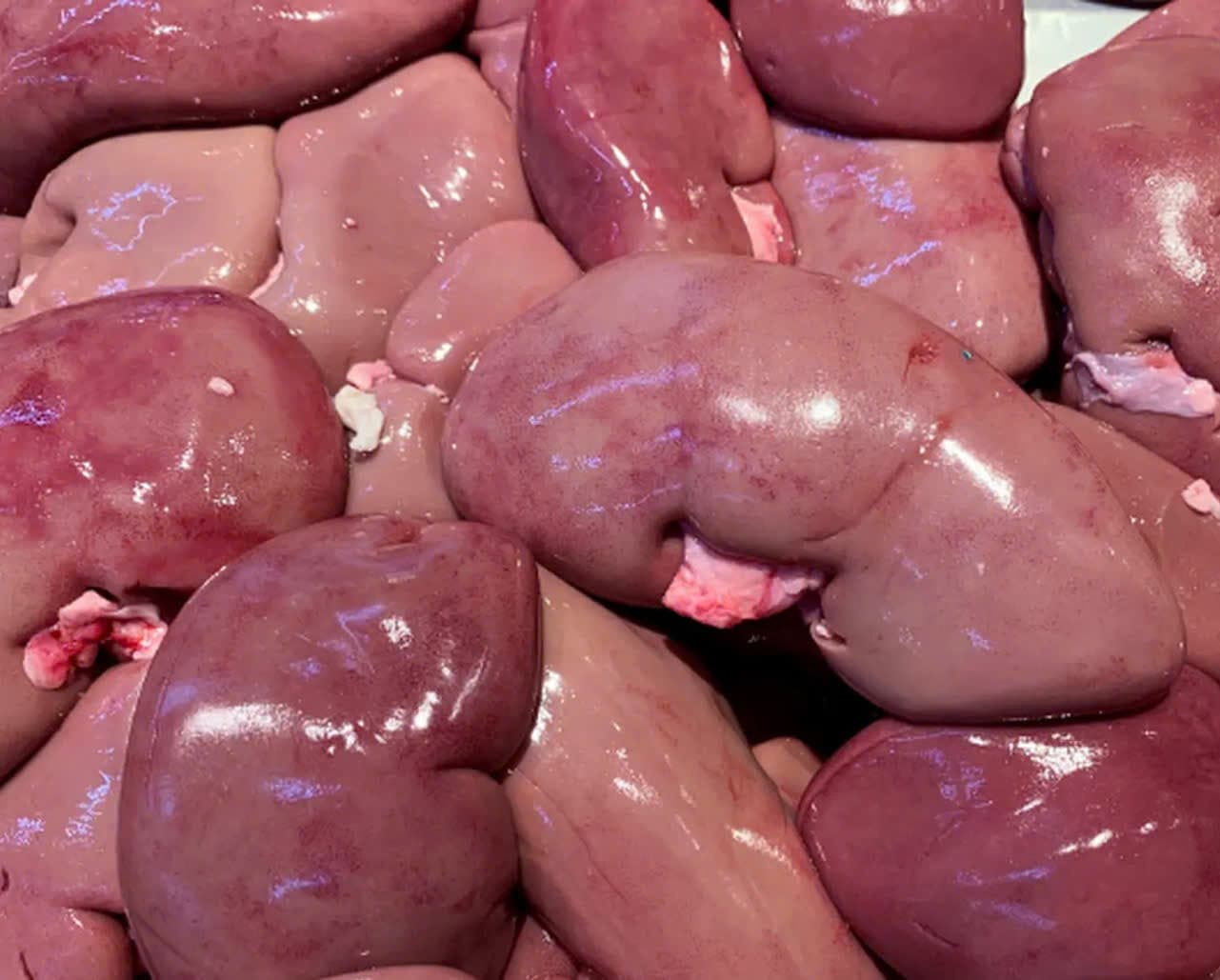 CẬT HEO 豚腎臓 PORK KIDNEY
