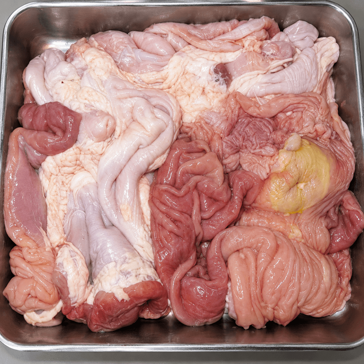 DẠ DÀY 豚胃 PORK STOMACH