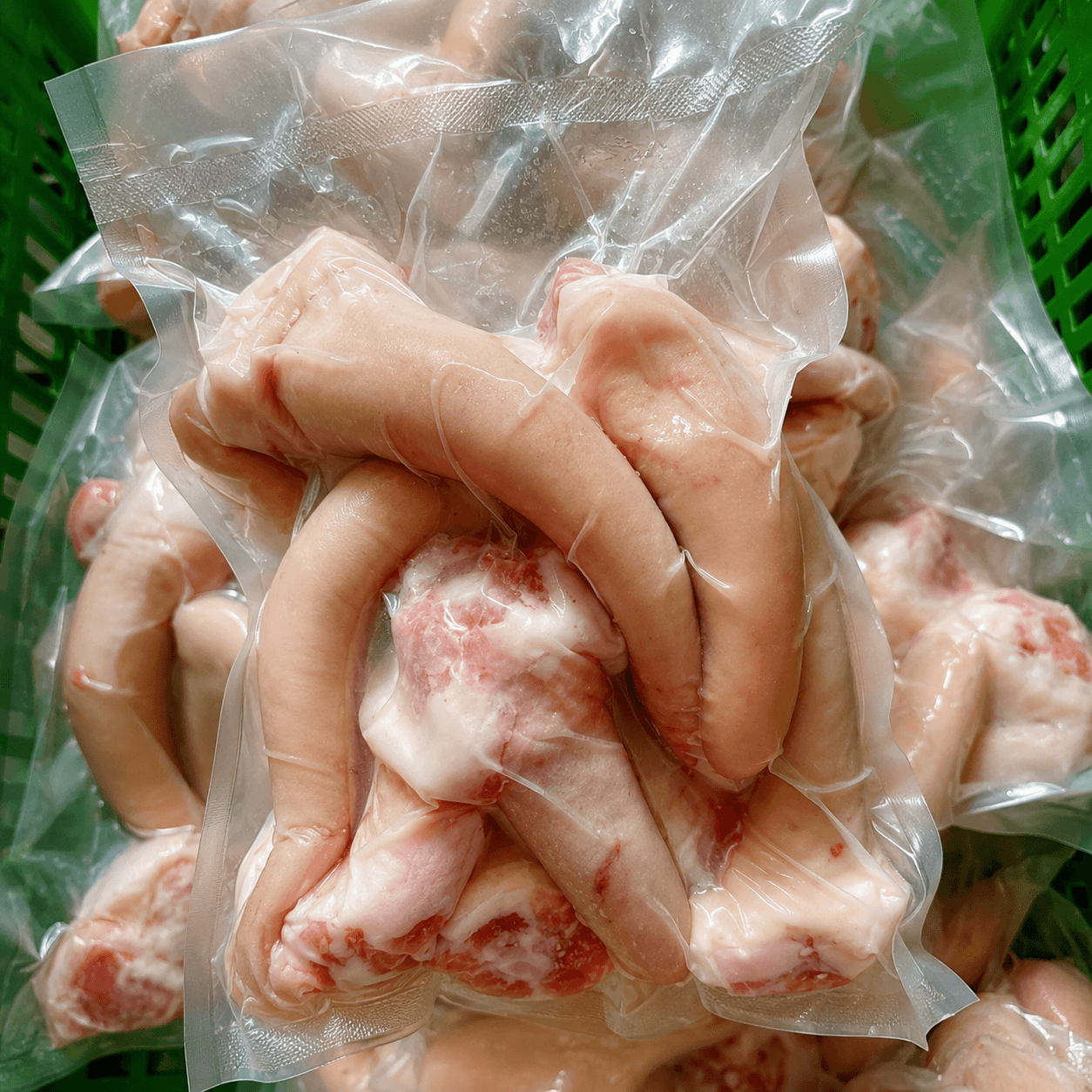 ĐUÔI HEO 豚しっぽ PIG TAIL