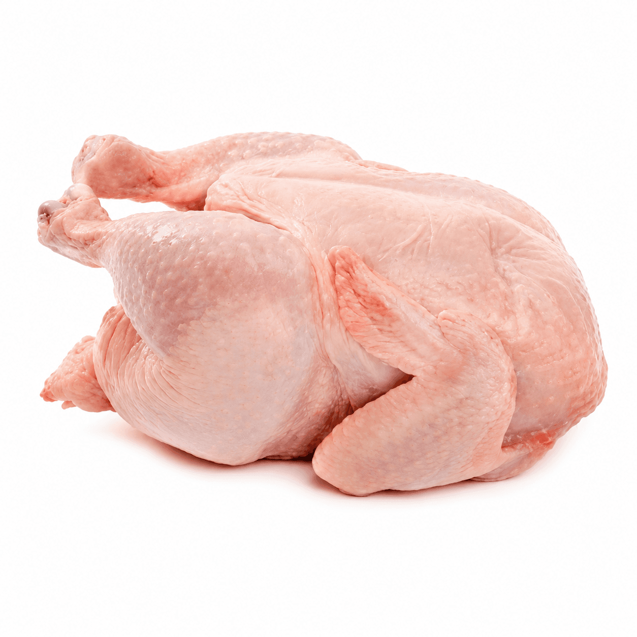 GÀ DAI KHÔNG ĐẦU 地鶏頭なし TOUGH CHICKEN HEADLESS