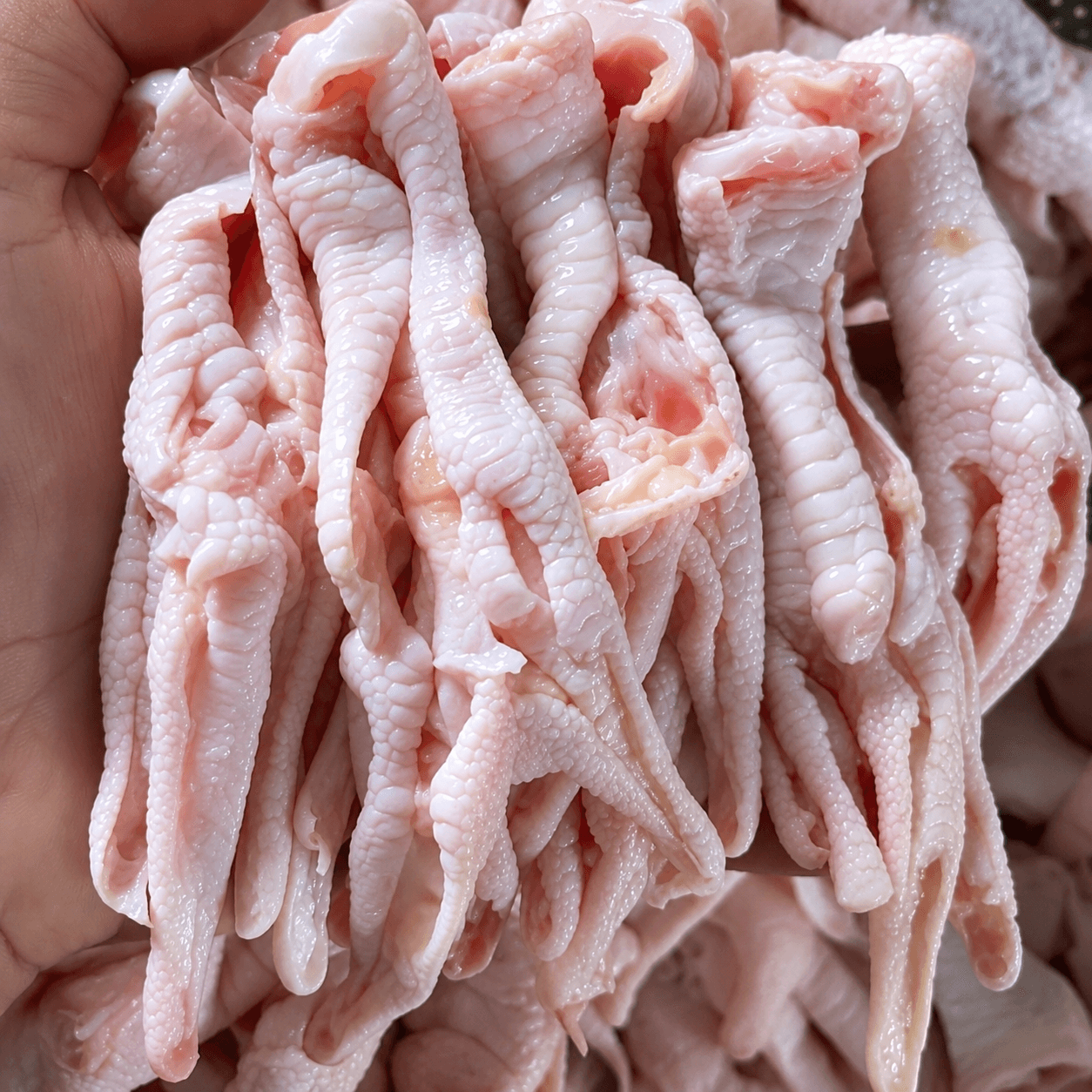 CHÂN GÀ RÚT XƯƠNG 鶏足骨なし BONELESS CHICKEN FEET