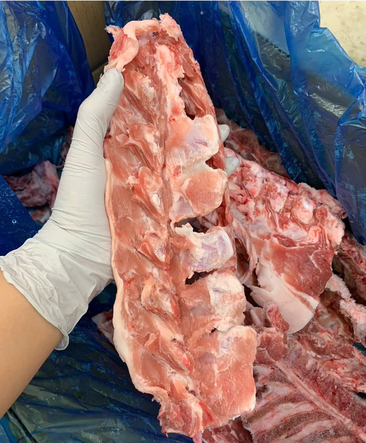 XƯƠNG LƯNG HEO 背骨 PORK SPINE
